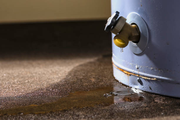 Best Water damage repair service  in Hernando, FL