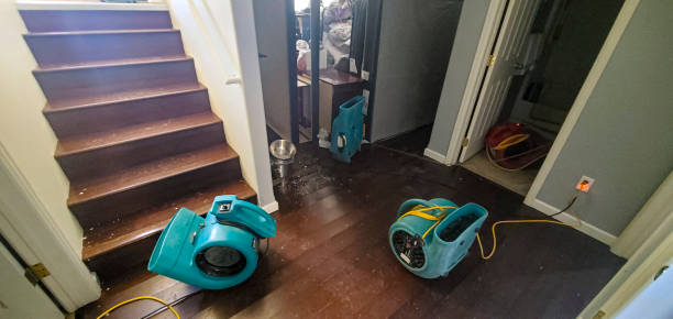 Best Fire Damage Restoration  in Hernando, FL