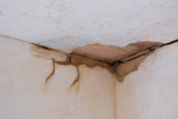 Best Water damage contractors near me  in Hernando, FL