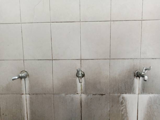 Best Sewage cleanup and water damage restoration  in Hernando, FL
