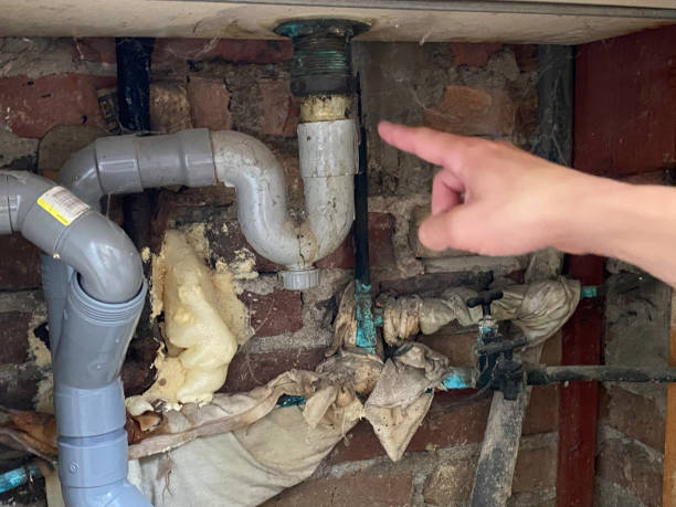 Best Flood restoration services  in Hernando, FL