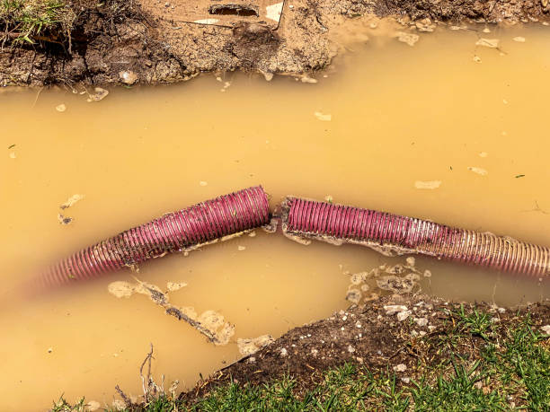 Best Residential water damage restoration  in Hernando, FL