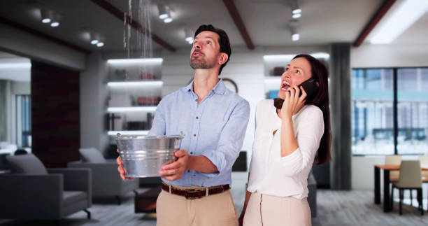 Best Emergency water damage restoration  in Hernando, FL