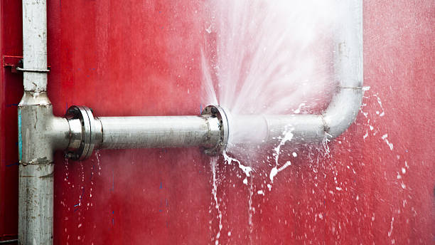 Best Commercial water damage restoration  in Hernando, FL