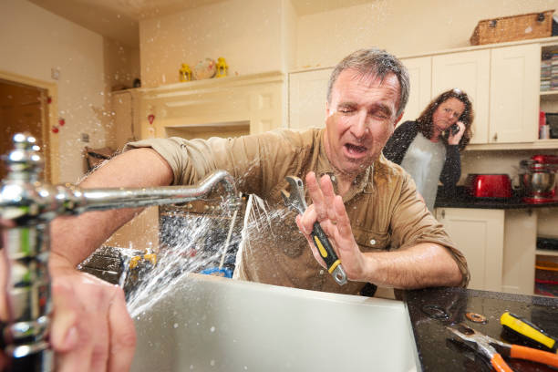 Best Carpet water damage restoration  in Hernando, FL
